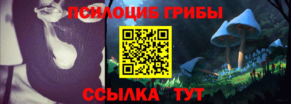 Псилоцибиновые грибы GOLDEN TEACHER Кузнецк